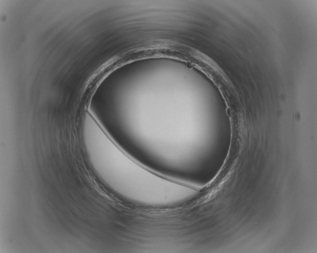 X0000079340826200611170929