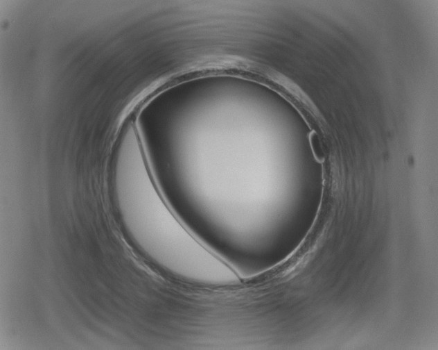 X0000079340834200611170929