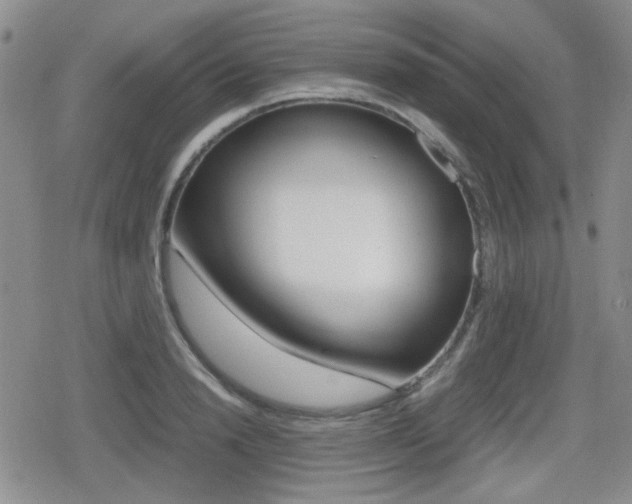 X0000079340846200611170929
