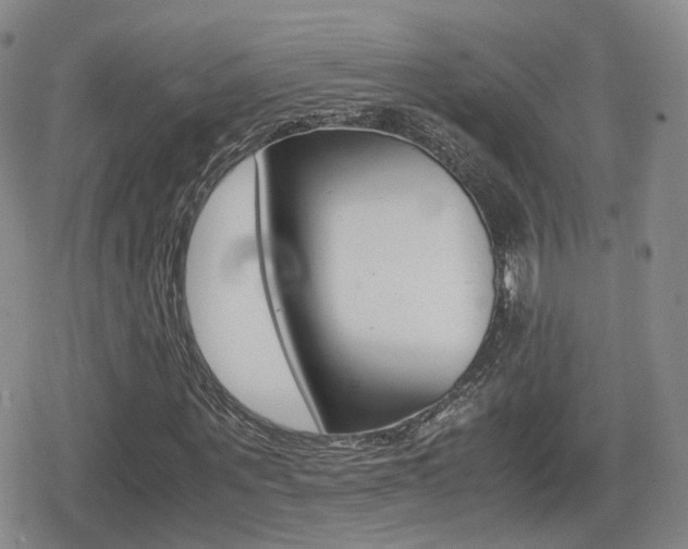 X0000079340867200611170929