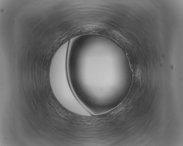 X0000079340868200611170929