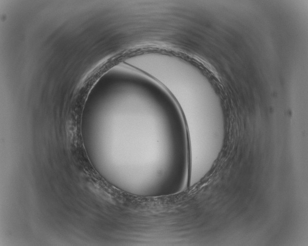 X0000079340872200611170929