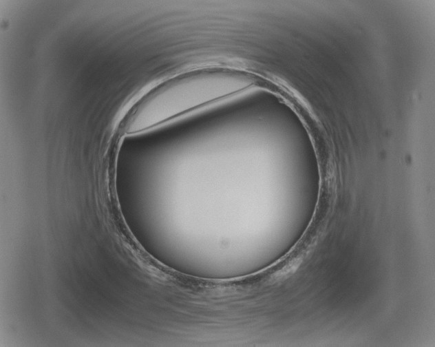 X0000079340877200611170929