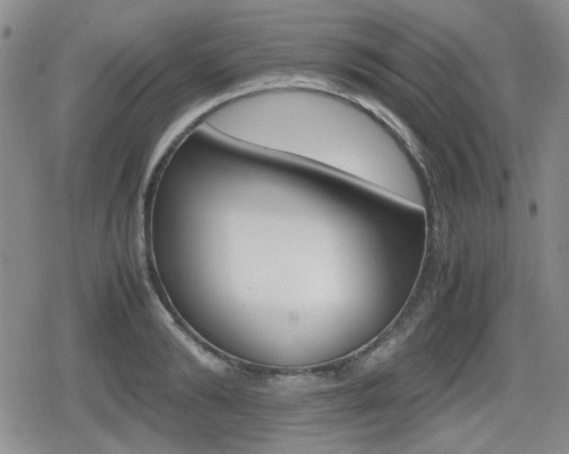 X0000079340894200611170928