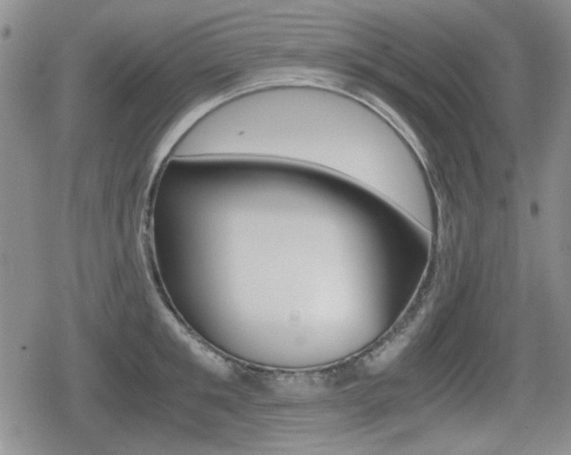 X0000079340901200611170928