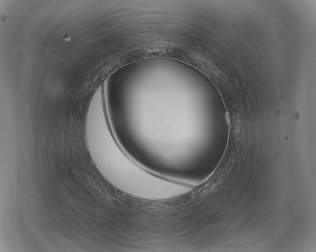 X0000079340916200611170927