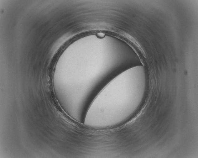 X0000079340926200611170927