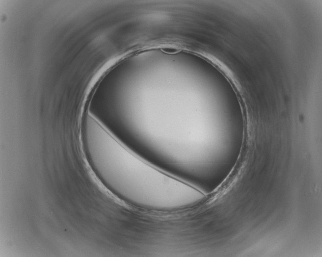 X0000079340949200611170928