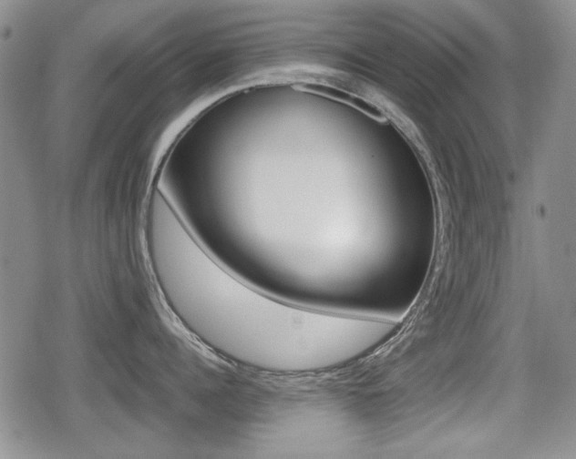 X0000079340960200611170928