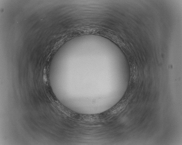 X0000079340962200611170927