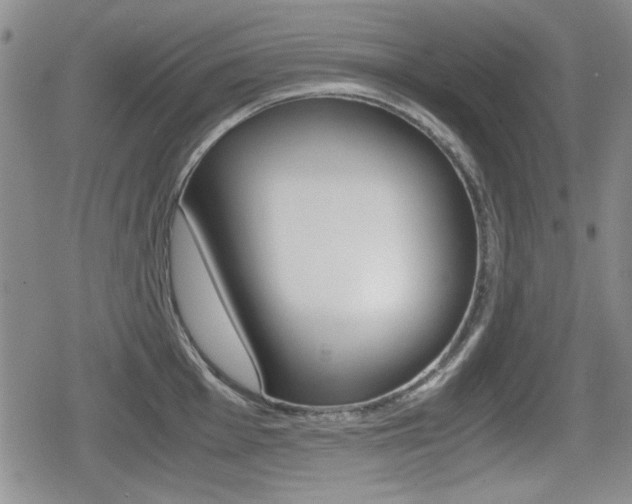 X0000079341001200611170927
