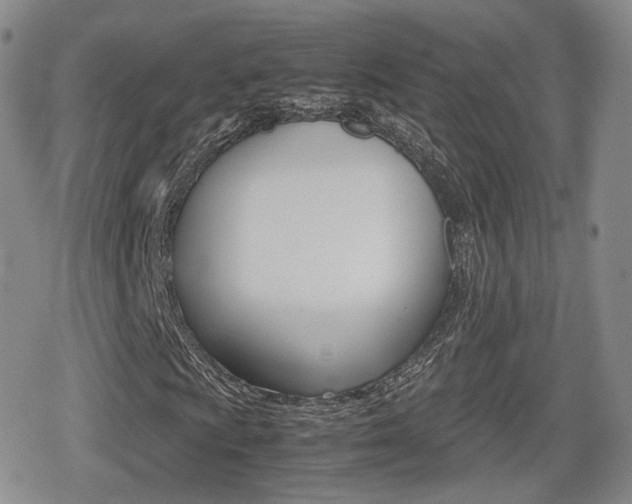 X0000079341009200611170926