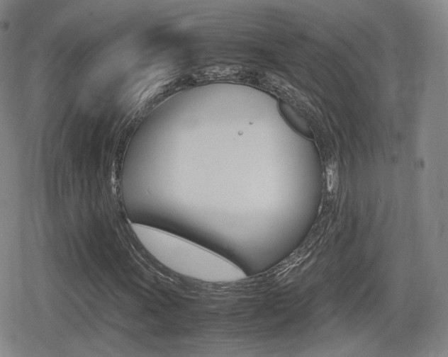 X0000079341011200611170926