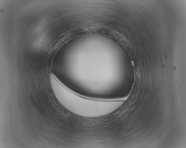 X0000079341012200611170926