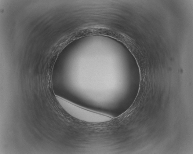 X0000079341014200611170926