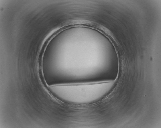 X0000079341024200611170926