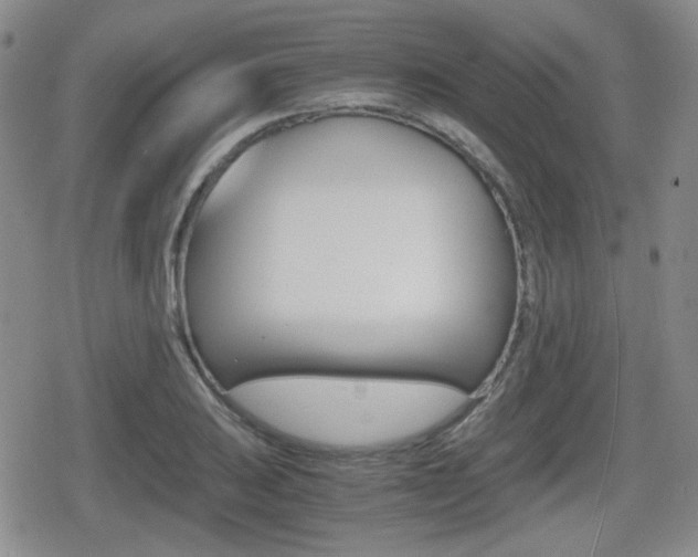 X0000079341031200611170926