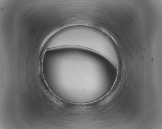 X0000079341069200611170925