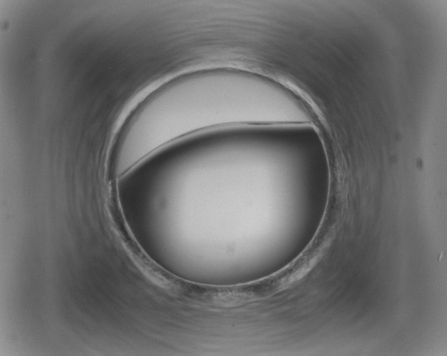 X0000079341077200611170925
