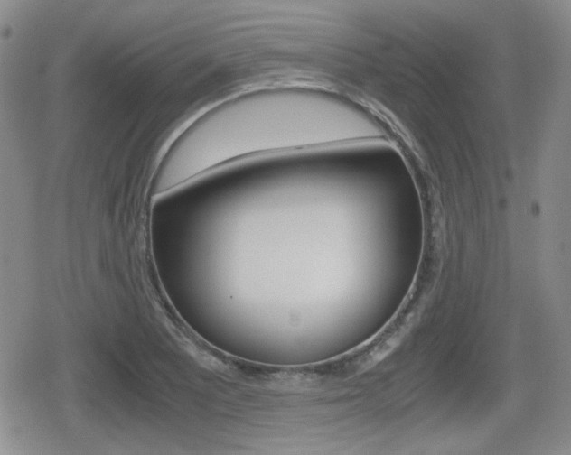 X0000079341081200611170925