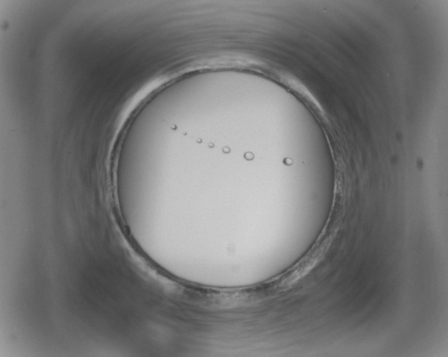 X0000079341087200611170925