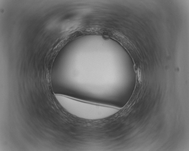 X0000079341107200611170924