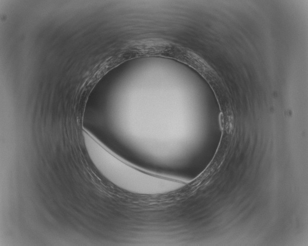 X0000079341108200611170924