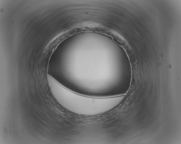 X0000079341112200611170924