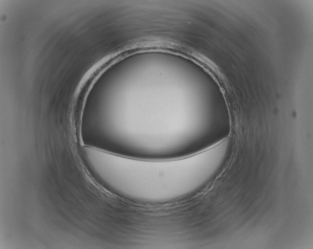 X0000079341120200611170924