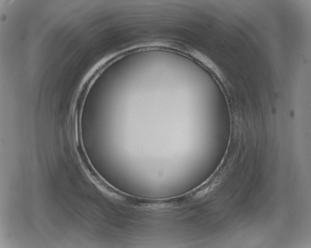 X0000079341127200611170924