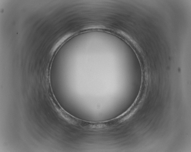 X0000079341129200611170925
