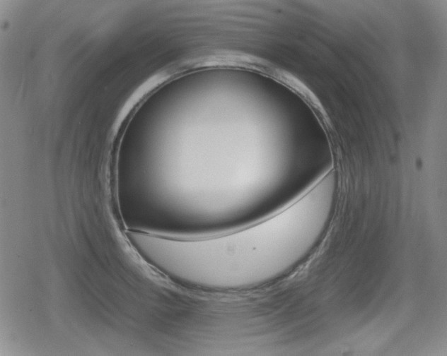 X0000079341138200611170925