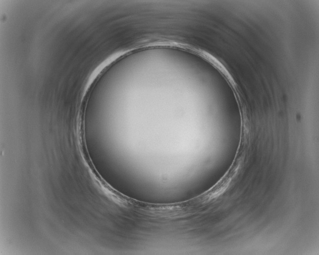 X0000079341149200611170925