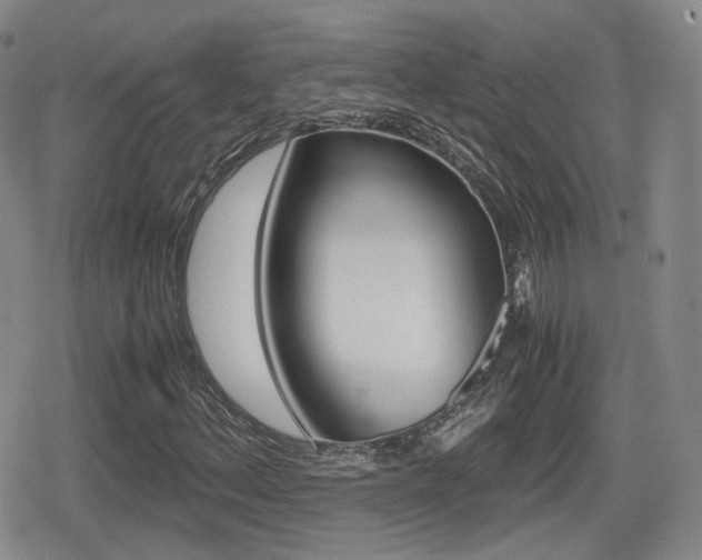 X0000079341156200611170924