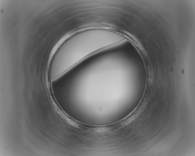 X0000079341188200611170924