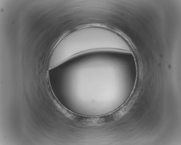 X0000079341193200611170924