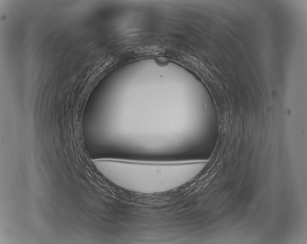 X0000079341201200611170923