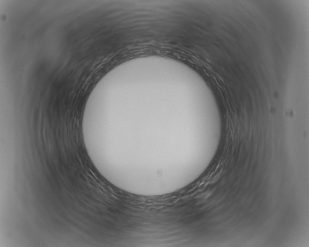 X0000079341202200611170923