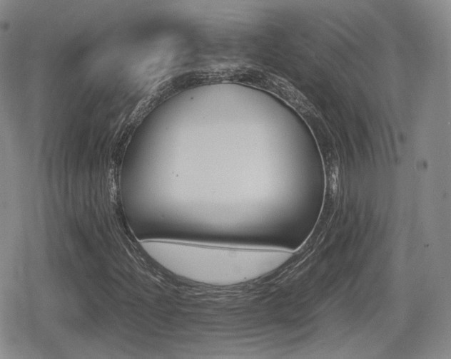 X0000079341204200611170923