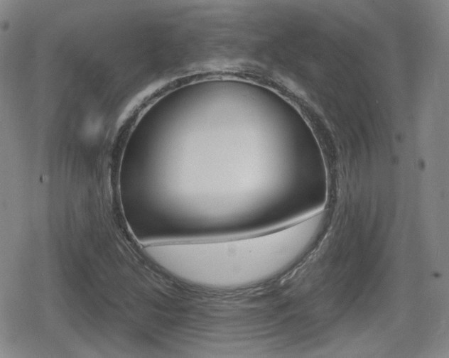 X0000079341214200611170923