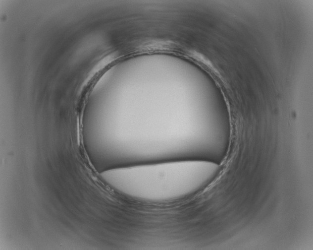 X0000079341219200611170924