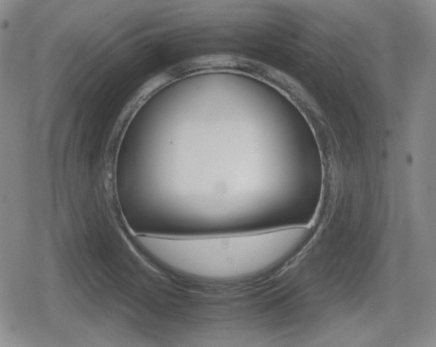 X0000079341225200611170924