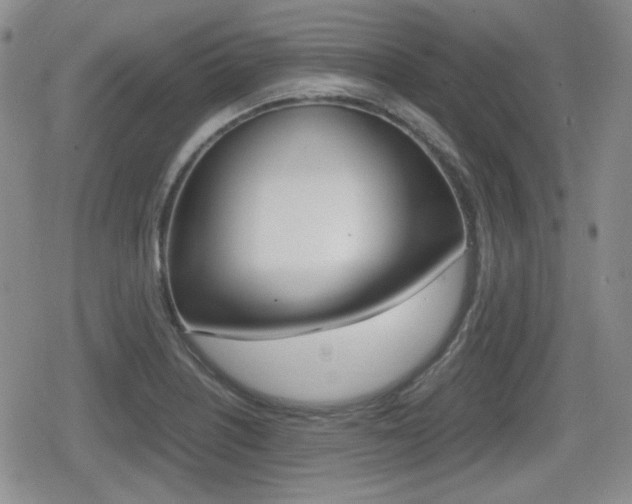 X0000079341226200611170924