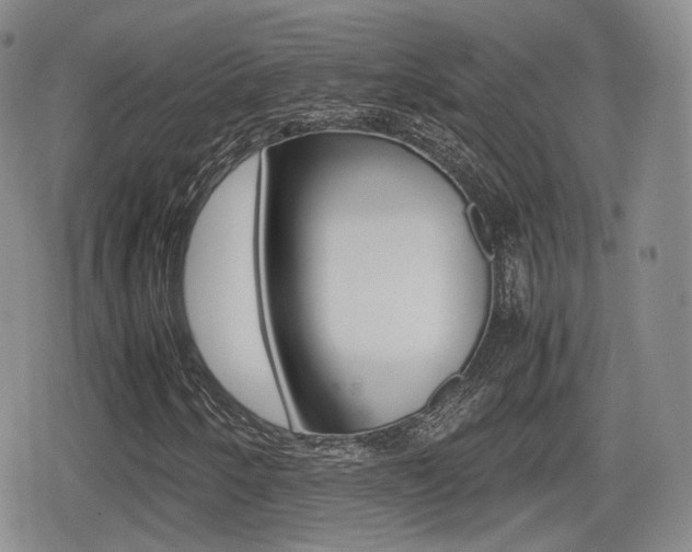X0000079341250200611170923
