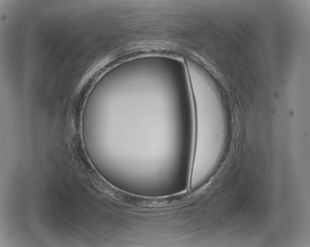 X0000079341261200611170923