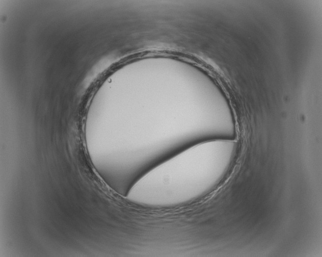 X0000079341263200611170923