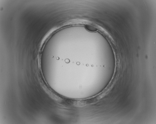 X0000079341275200611170923