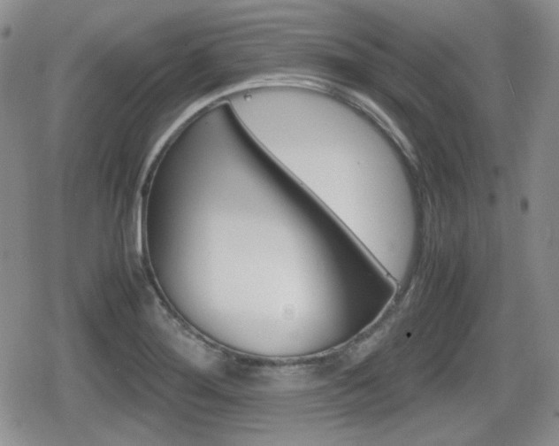 X0000079341276200611170923