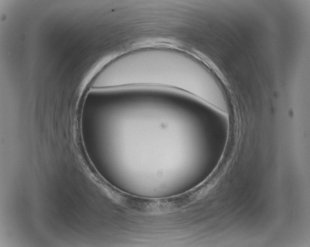 X0000079341277200611170923