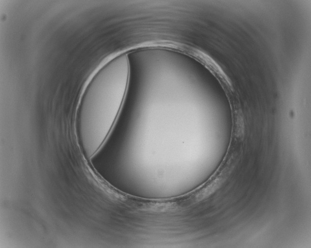 X0000079341284200611170923